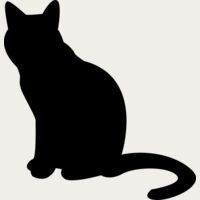 Cat Thumbnail