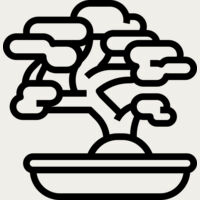 Bonsai Tree Thumbnail