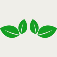 11 Leaves Thumbnail