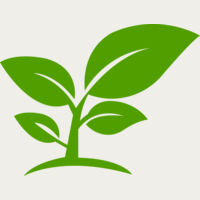 12 Leaves Thumbnail