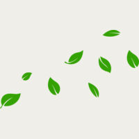 13 Leaves Thumbnail