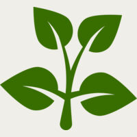 15 Leaves Thumbnail