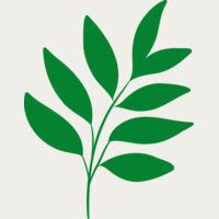 17 Leaves Thumbnail