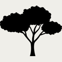 40 Tree Thumbnail