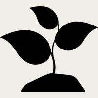 42 Plant Thumbnail