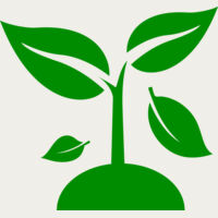 48 Plant Thumbnail