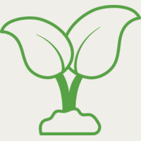 39 Leaves Thumbnail