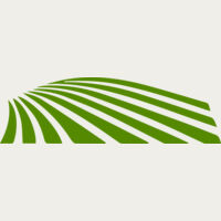 67 Rice Field Thumbnail