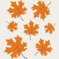 Maple Leaves Thumbnail
