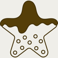 Star Cookie Thumbnail