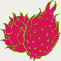Dragon Fruit Thumbnail