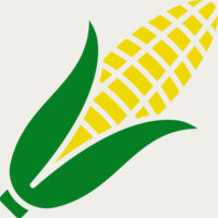 Corn Thumbnail