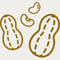 Peanut Thumbnail