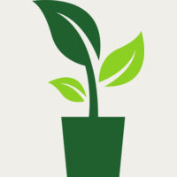 Potted Plant Thumbnail