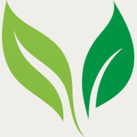 Leaves Thumbnail