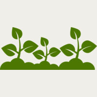 Plant Leaves Thumbnail