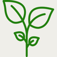 Plant Thumbnail