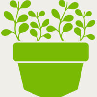 Succulent Plant 3 Thumbnail