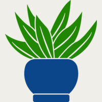 Succulent Plant 2 Thumbnail