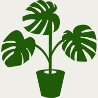 Plant Thumbnail