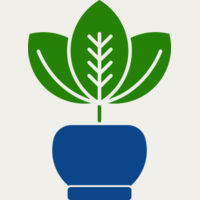 Plant 2 Thumbnail