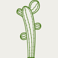 Cactus Thumbnail