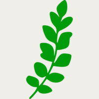 Leaves Thumbnail