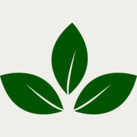 Leaves 5 Thumbnail
