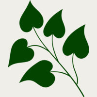 Leaves 3 Thumbnail