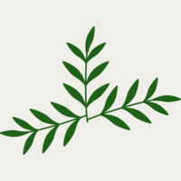 Leaves 2 Thumbnail