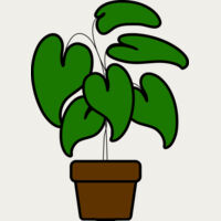 Plant Thumbnail