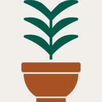 Plant 2 Thumbnail