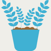 Plant 5 Thumbnail