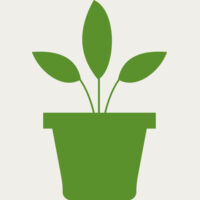 Plant 2 Thumbnail
