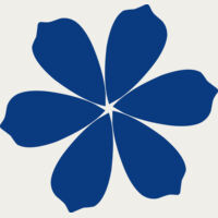 Flower 9 Thumbnail