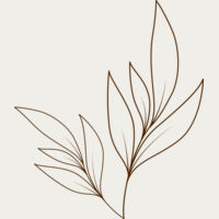 Leaves 3 Thumbnail