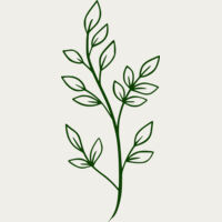 Leaves 2 Thumbnail
