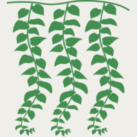 Hanging Plants Thumbnail
