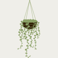 Hanging Plants 3 Thumbnail