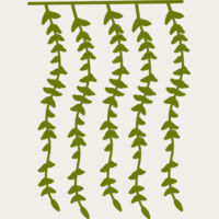 Hanging Plants 2 Thumbnail