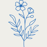 Flowers 10 Thumbnail