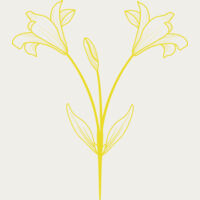 Flowers 9 Thumbnail