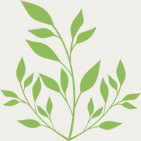 Leaves Thumbnail