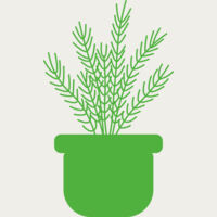 Herb Thumbnail