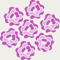 Flowers 20 Thumbnail
