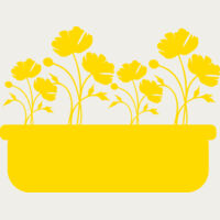 Flowers 15 Thumbnail