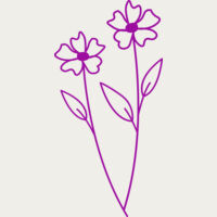 Flowers 9 Thumbnail