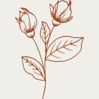 Flowers 8 Thumbnail