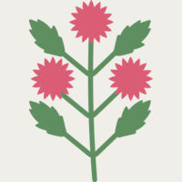 Flowers 4 Thumbnail