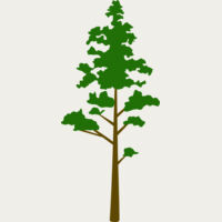 Tree Plant 8 Thumbnail